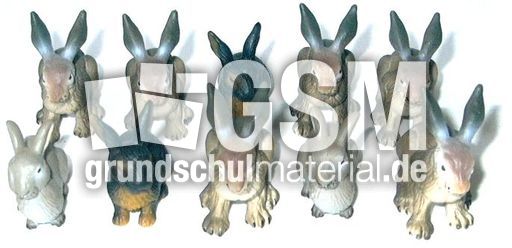 Hasen-10B.jpg